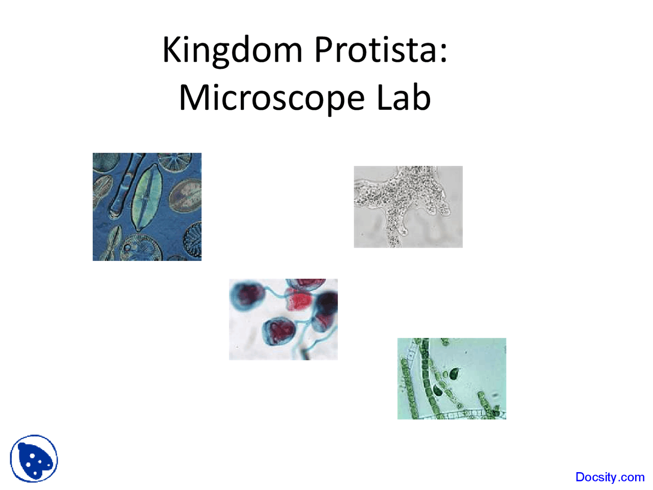 Microscope Lab - Application of Biology - Lecture Slides - Docsity