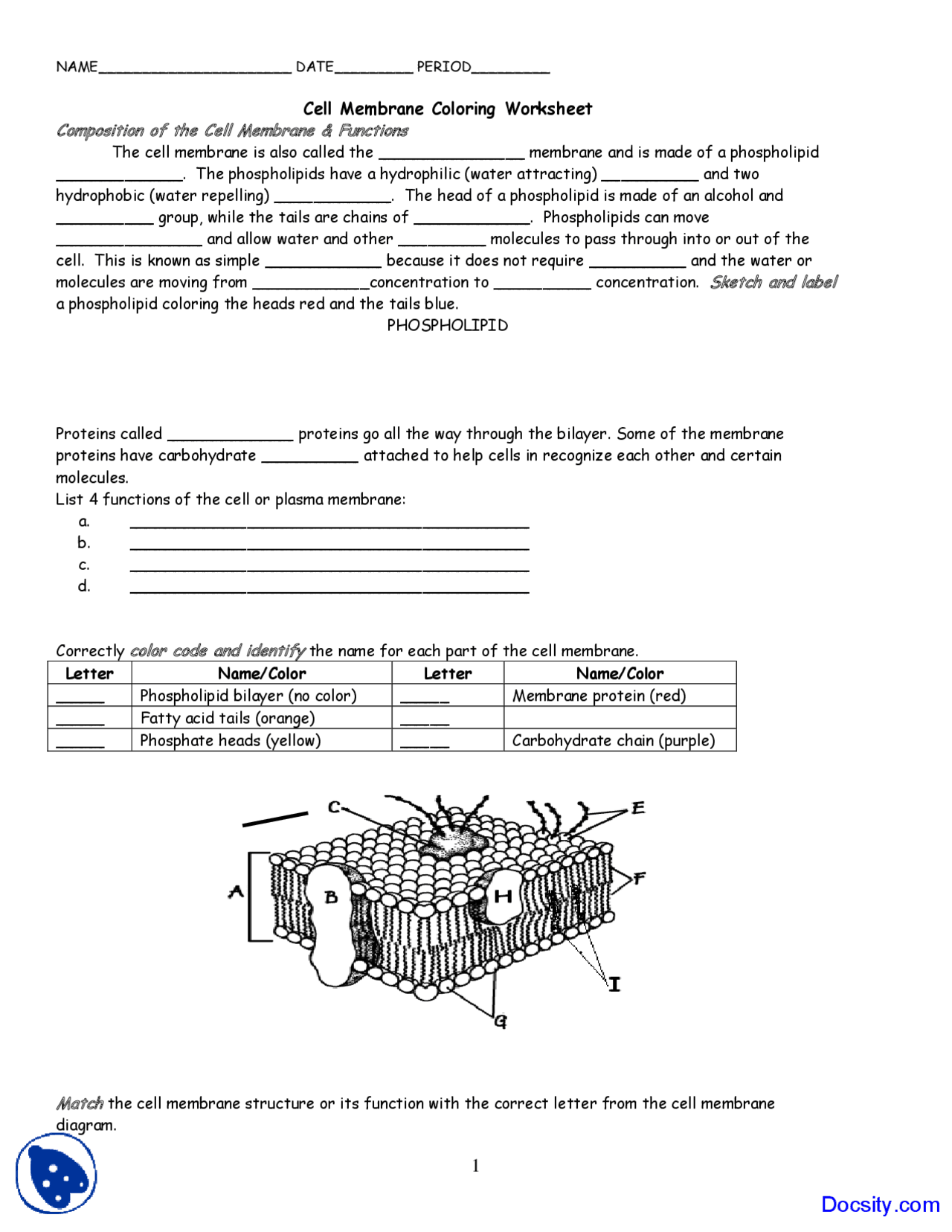 Cell Membrane Coloring - Application of Biology - Assignment - Docsity In Cell Membrane Coloring Worksheet Answers