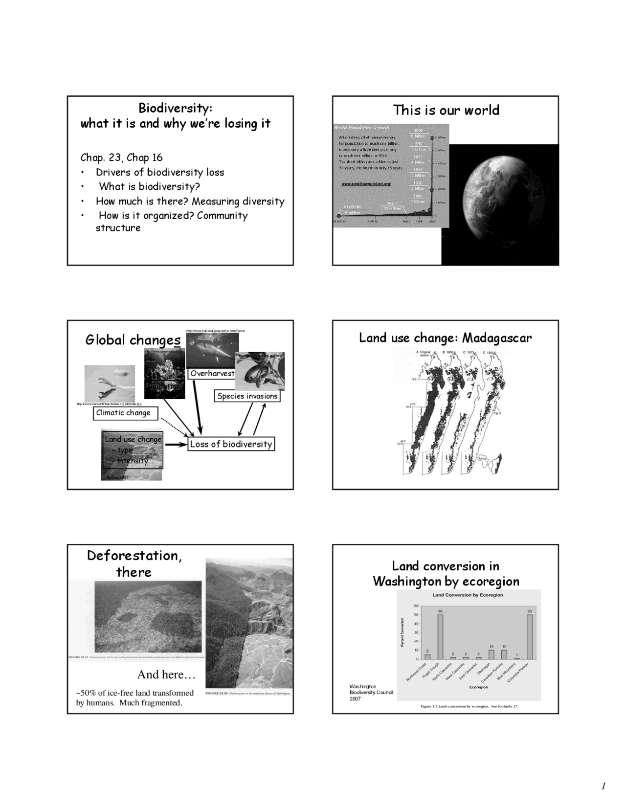 Biodiversity - Evolution, Ecology and Biodiversity - Lecture Slides ...