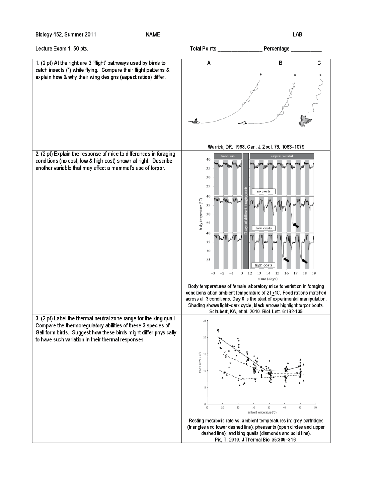 Comparing Flight Patterns & Behavior in Birds and Mammals | Exams ...