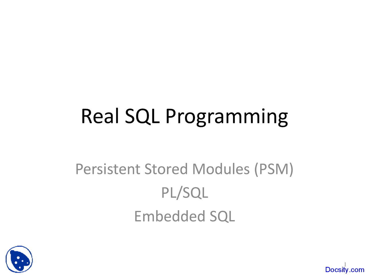 Real SQL Programming - Database Systems - Lecture Slides - Docsity