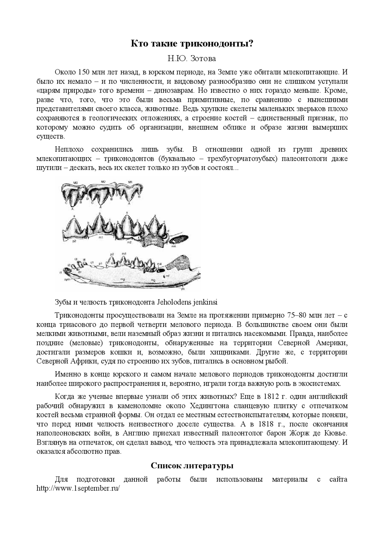 Доклад: Кто такие триконодонты? Доклад: Кто такие триконодонты?