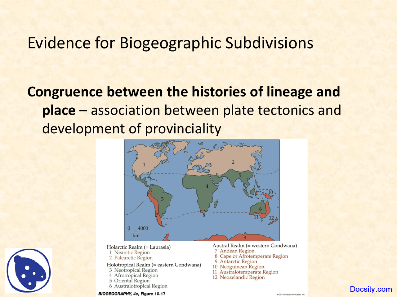 Biogeographic Subdivisions - Geography - Lecture Slides - Docsity