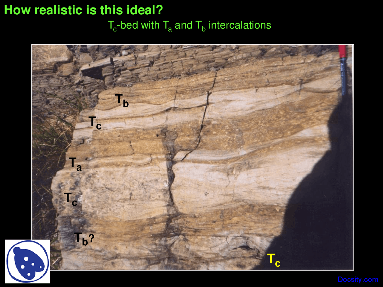 Intercalated Rocks Intercalations - Stratigraphy - Lecture Slides - Docsity