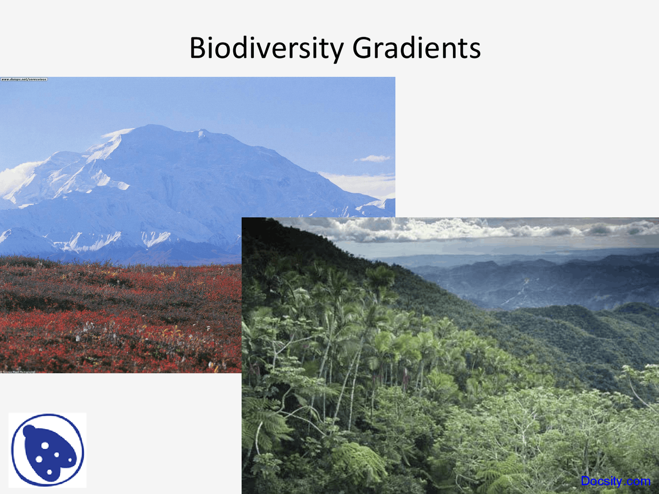 Biodiversity Gradients - Geography - Lecture Slides - Docsity