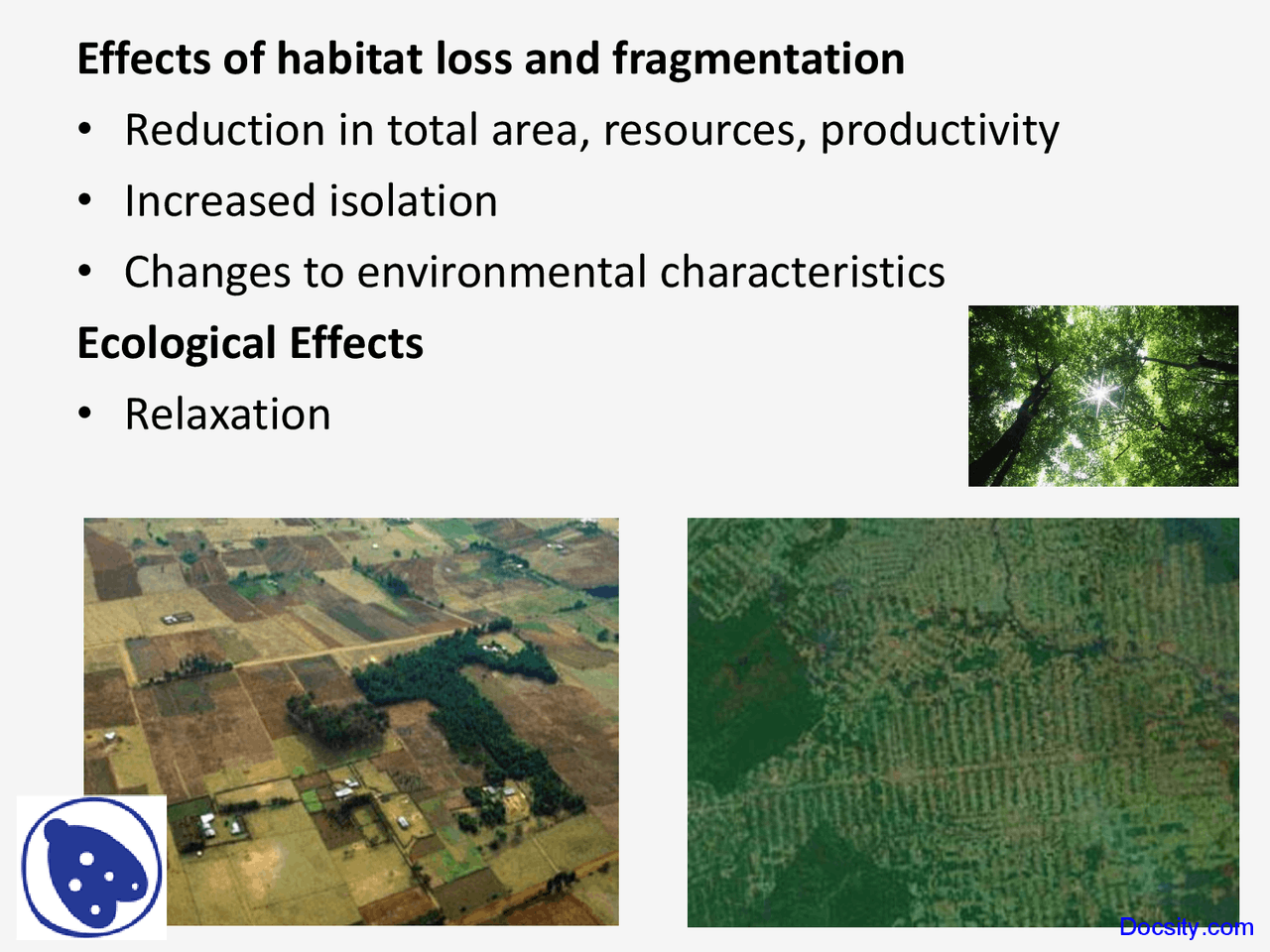 Fragmentation - Geography - Lecture Slides - Docsity