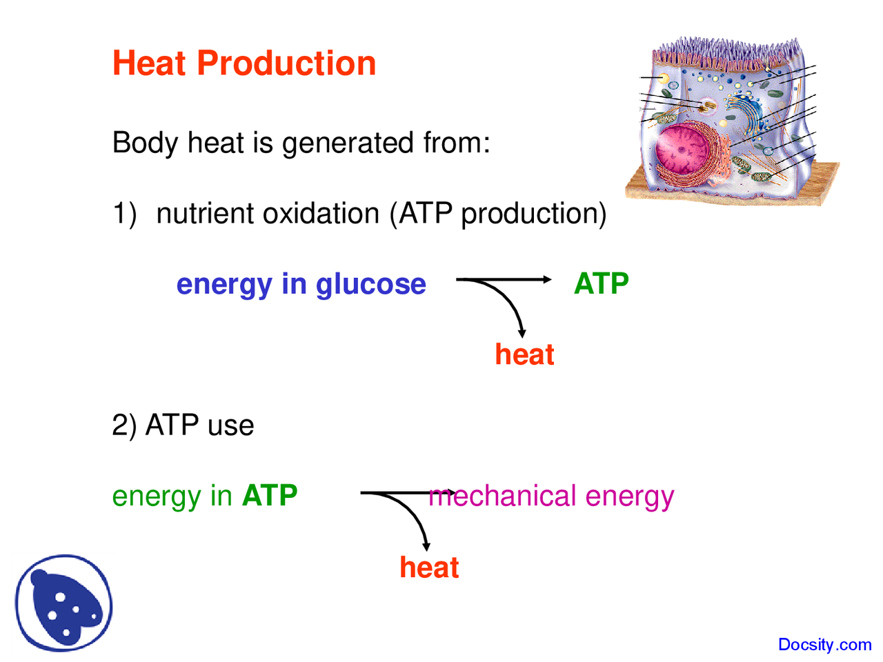 Heat Producing Example Heat Production - Water Management - Lecture Slide - Docsity