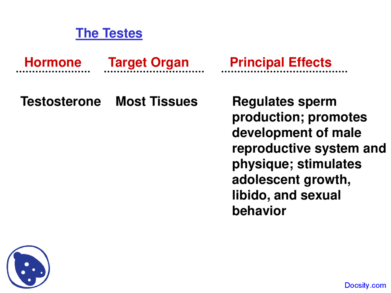 The Testes - Water Management - Lecture Slide - Docsity