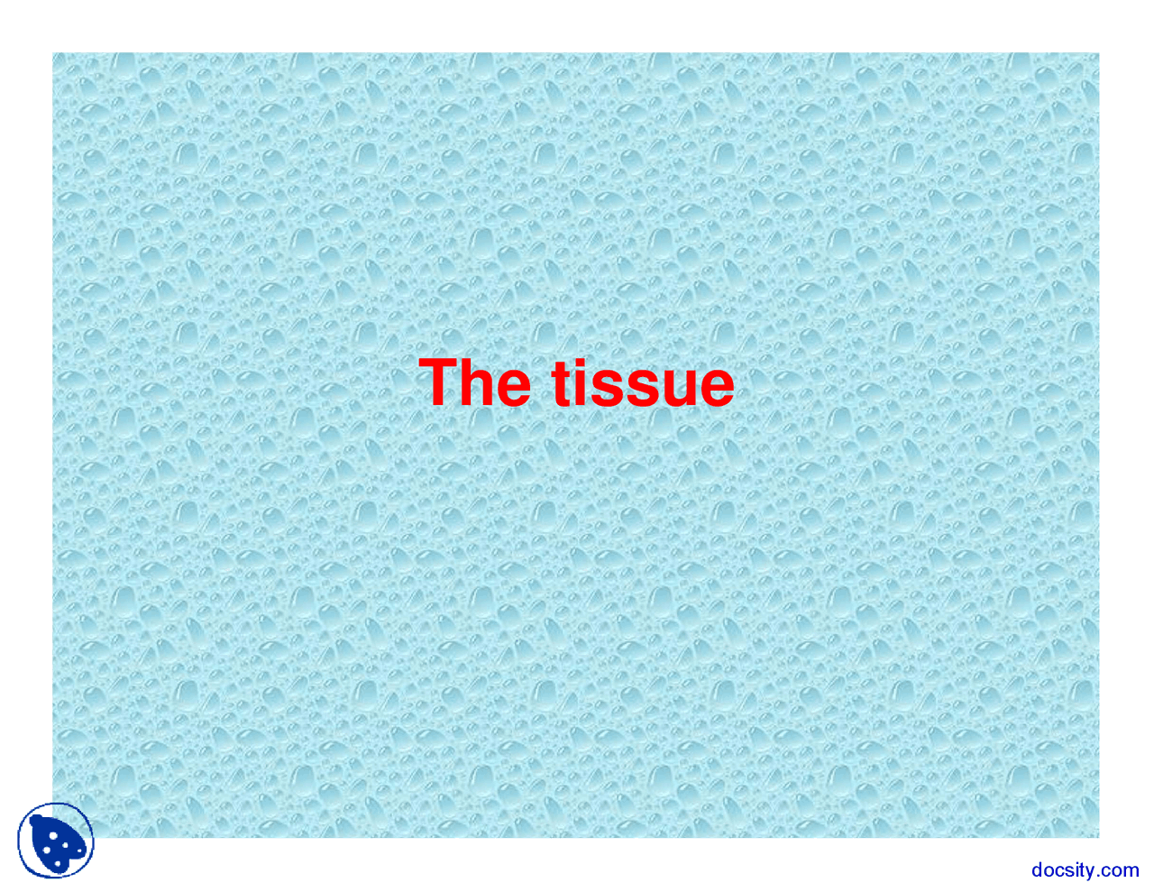 Tissue Anatomy And Physiology Lab Lecture Slides Docsity Tissue Anatomy And Physiology Lab Lecture Slides Docsity