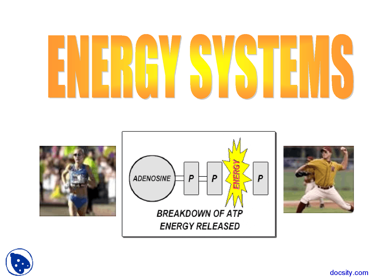 Energy Systems Physical Education Lecture Slides Docsity Energy Systems Physical Education Lecture Slides Docsity