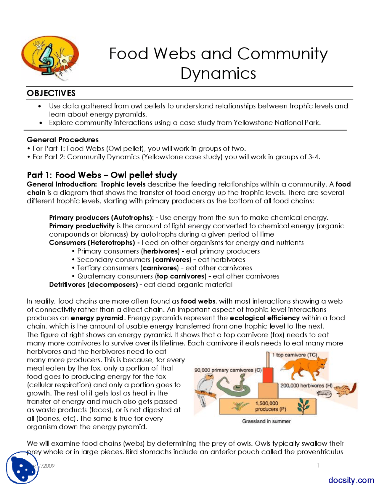 Food Webs and Community Dynamics - Biology - Lab Handout ...