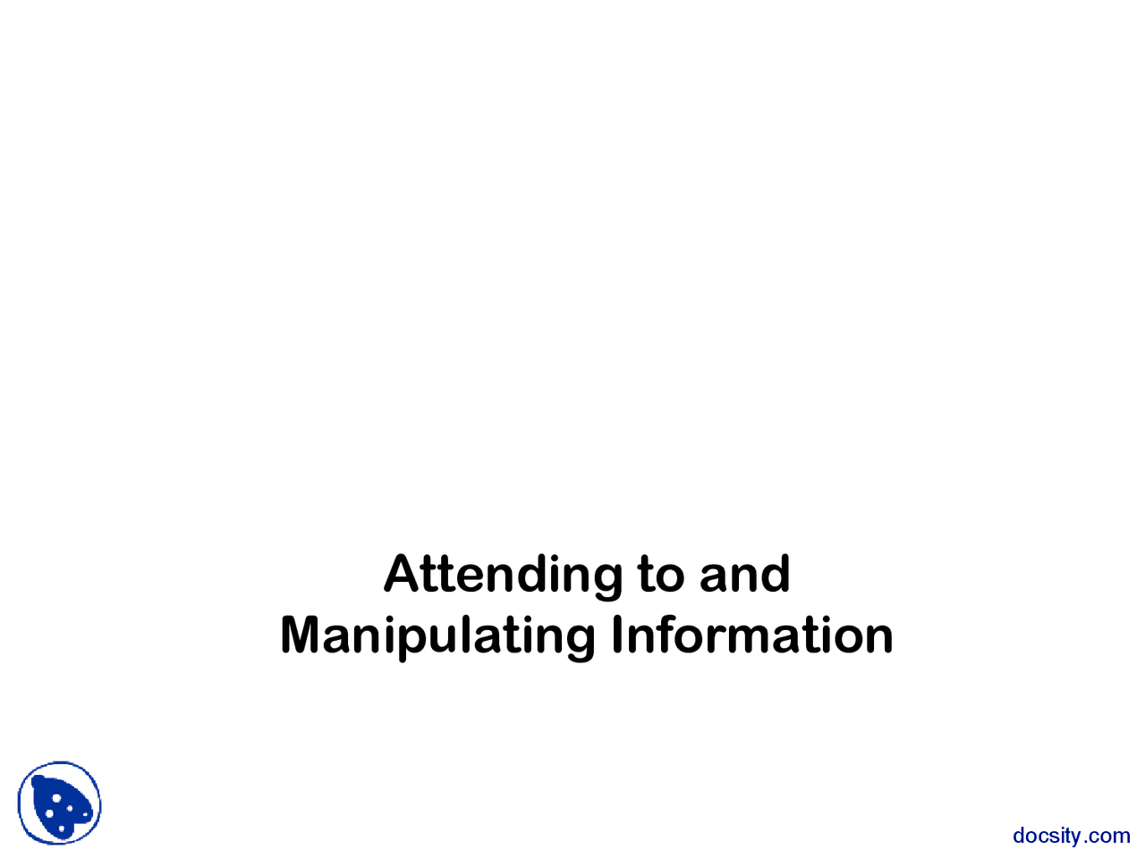 Manipulating Information - Psychology of Cognition and Memory - Lecture
