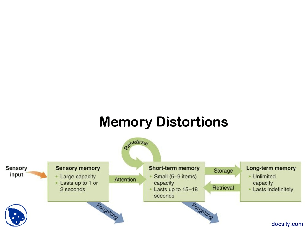 Memory Distortions - Psychology of Cognition and Memory - Lecture ...