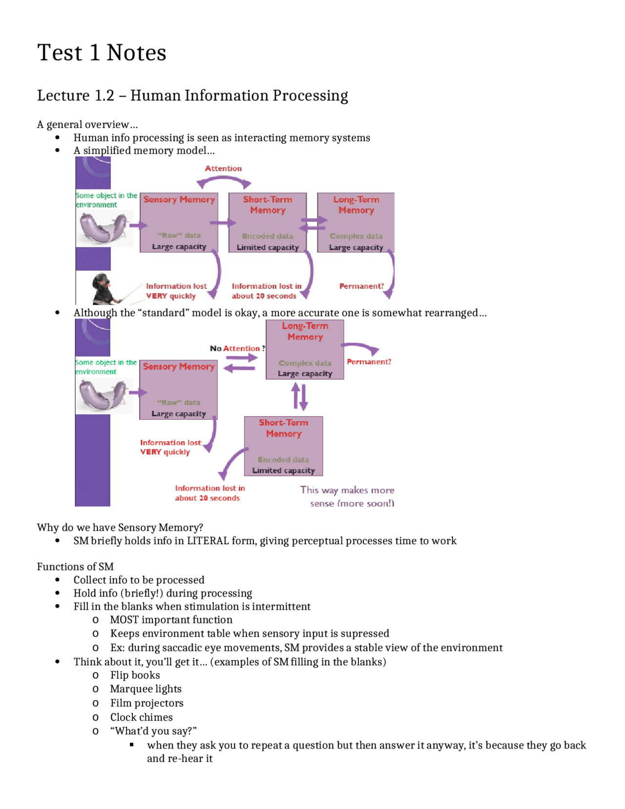 Human Information Processing in Memory Systems | PSYC 3030 - Docsity
