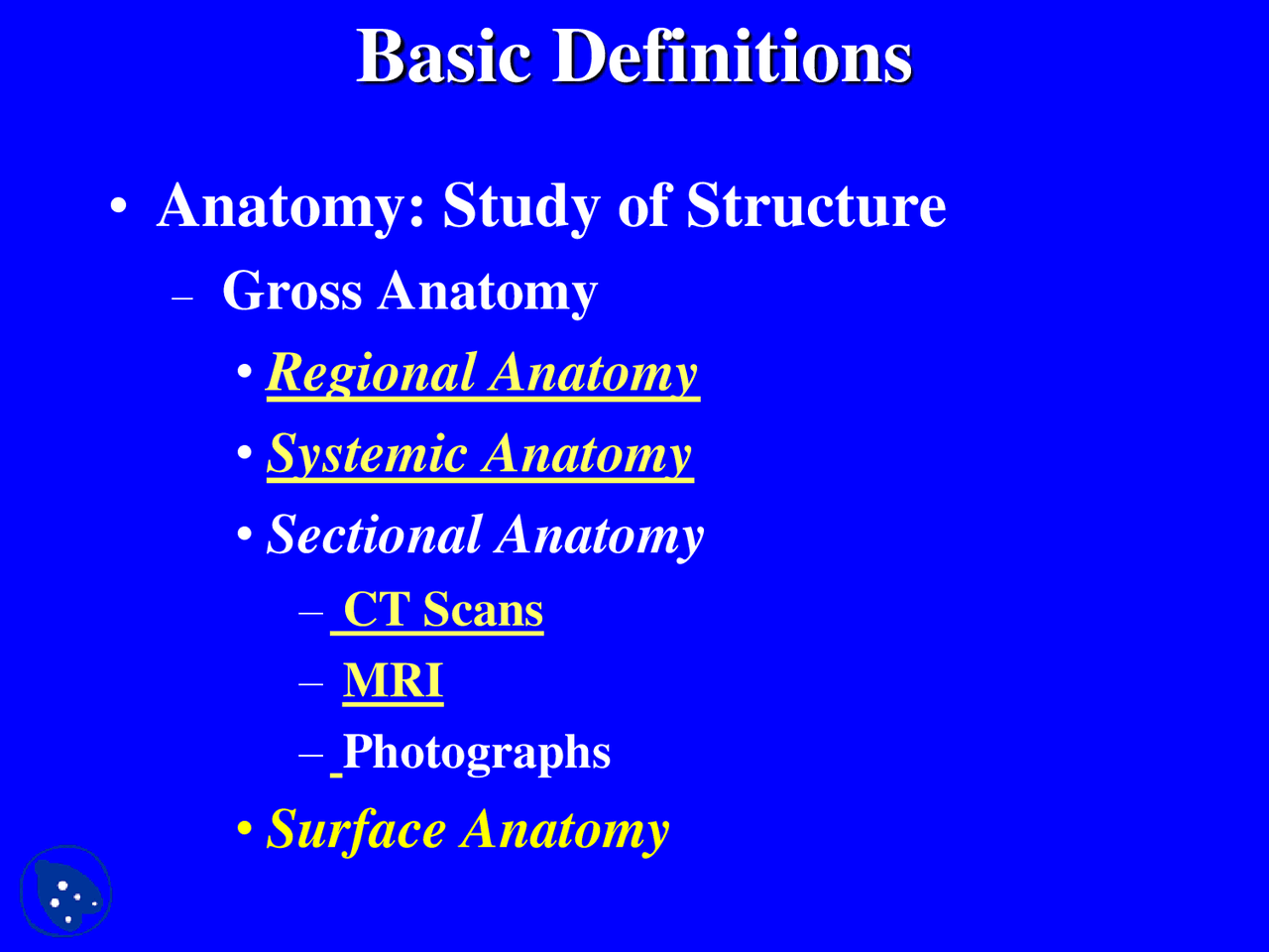 Basic Anantomy Basics - Basic Human Anatomy - Lecture Slides - Docsity