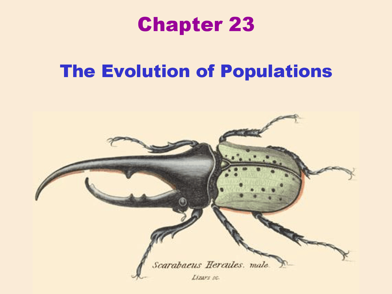 The Evolution of Populations - Biology for Science Majors II - Lecture ...