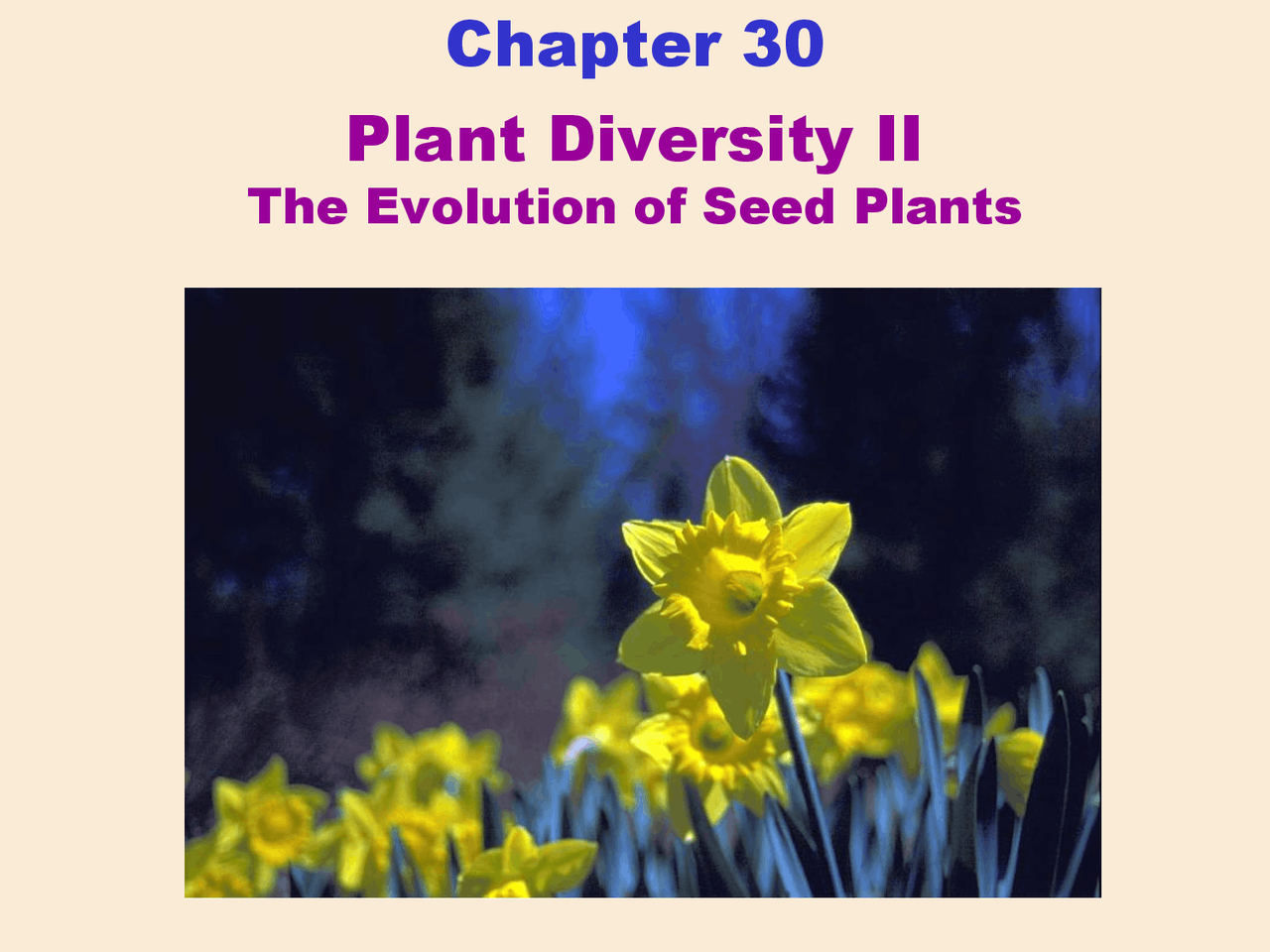 The Evolution of Seed Plants - Biology for Science Majors II - Lecture ...