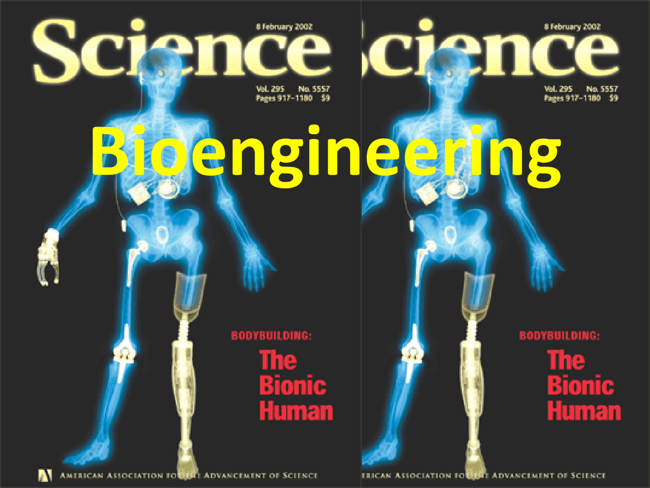 Bioengineering - Introduction to Engineering - Lecture Slides - Docsity