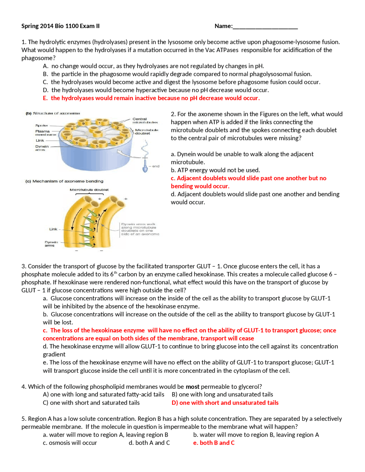 Solutions for Test I - Principles of Biology for Majors | BIOL 1100 ...