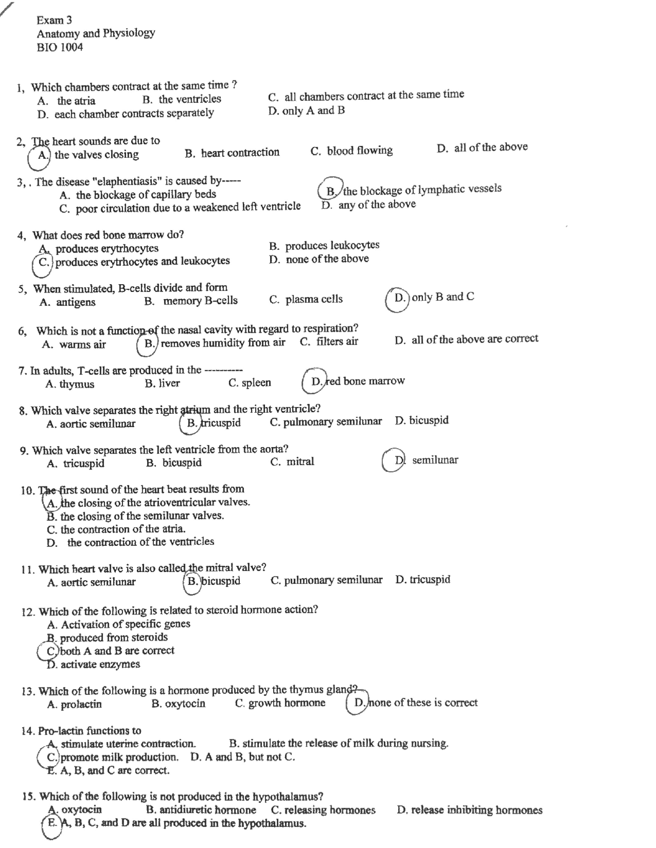 Anatomy And Physiology Worksheets Chapter 3