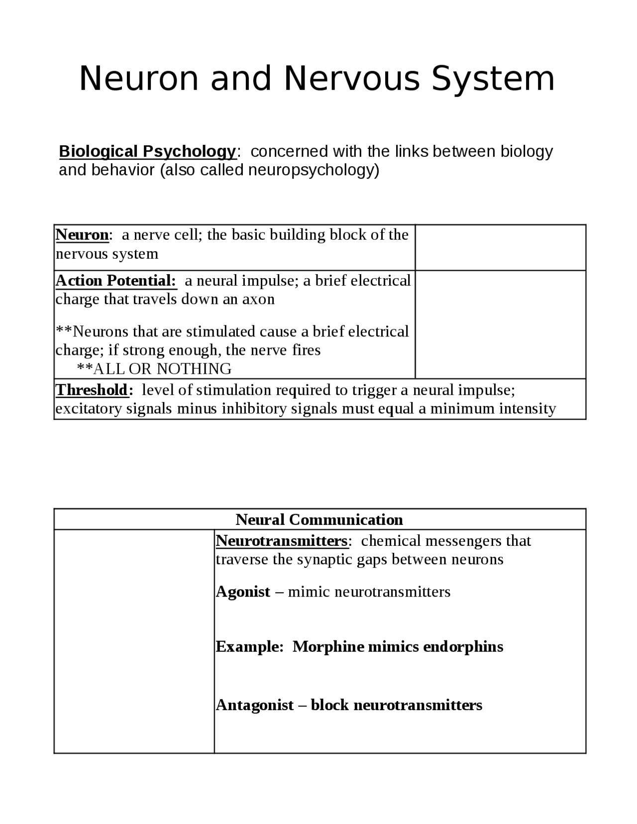 Neuron and nervous system | Lecture notes Computer Science | Docsity