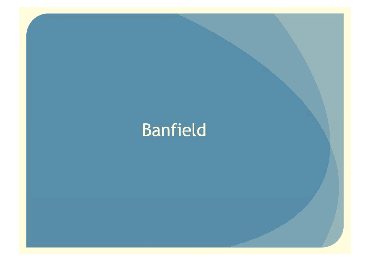 Schemi riassuntivi del libro di Edward C. Banfield Le basi morali di