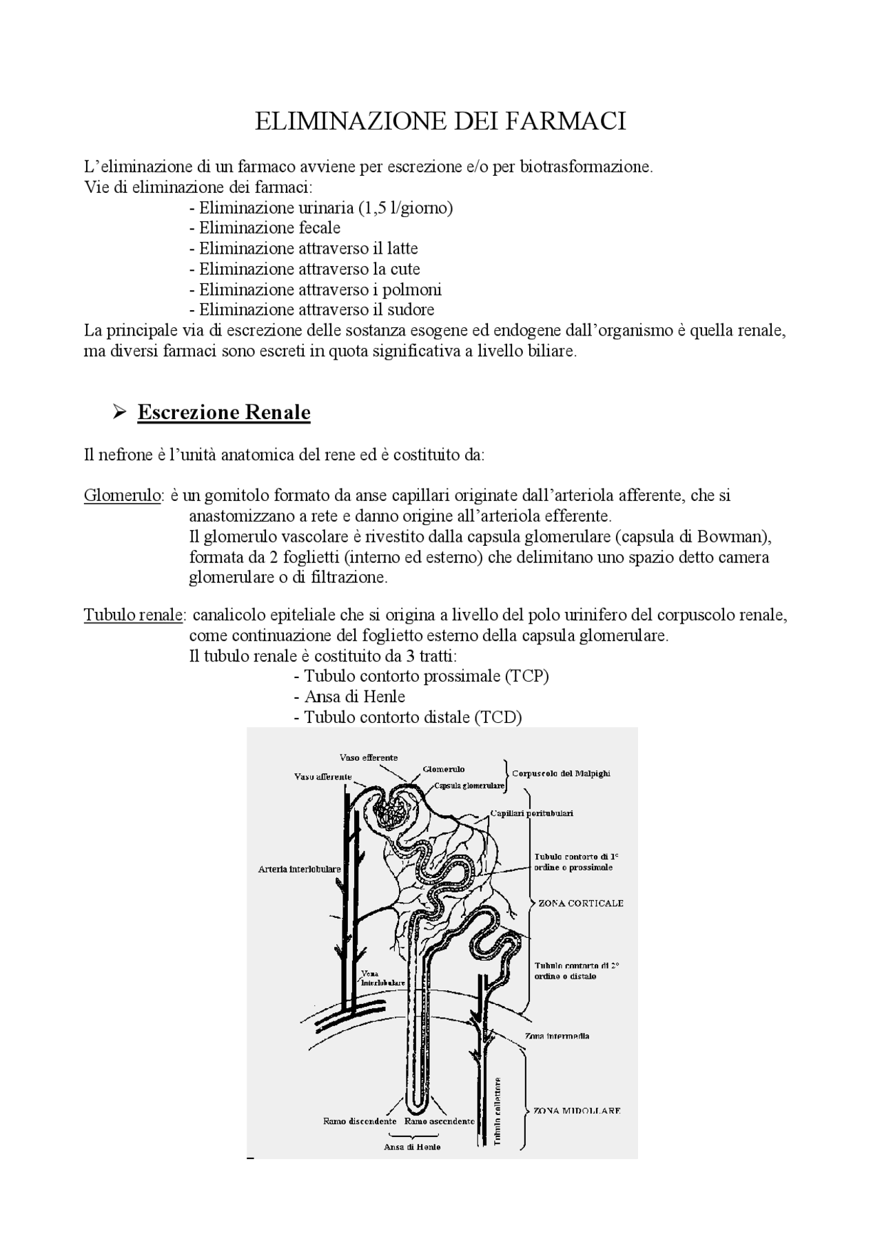 Farmacologia Eliminazione dei farmaci Docsity Farmacologia Eliminazione dei farmaci Docsity