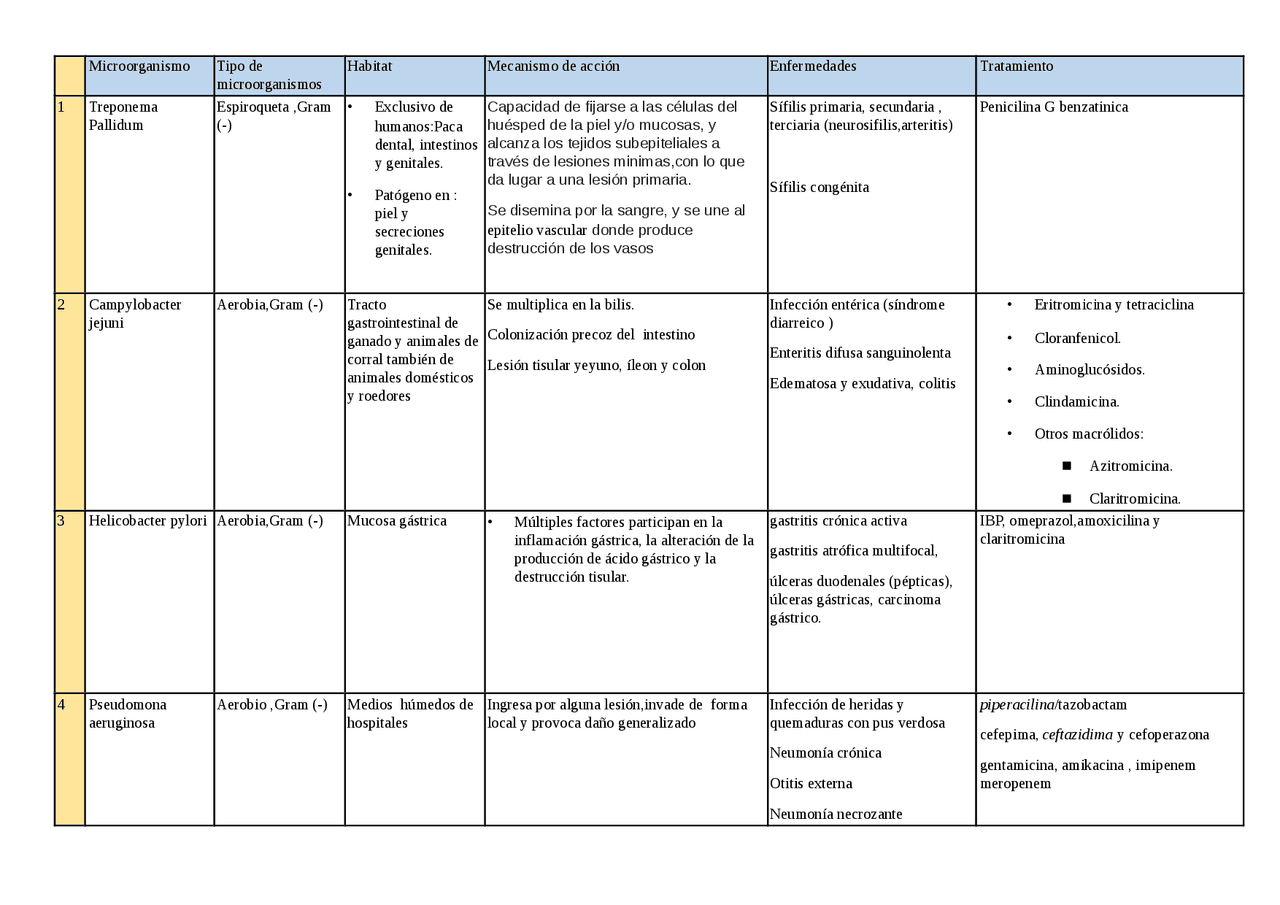 RESUMEN DE BACTERIAS - Docsity