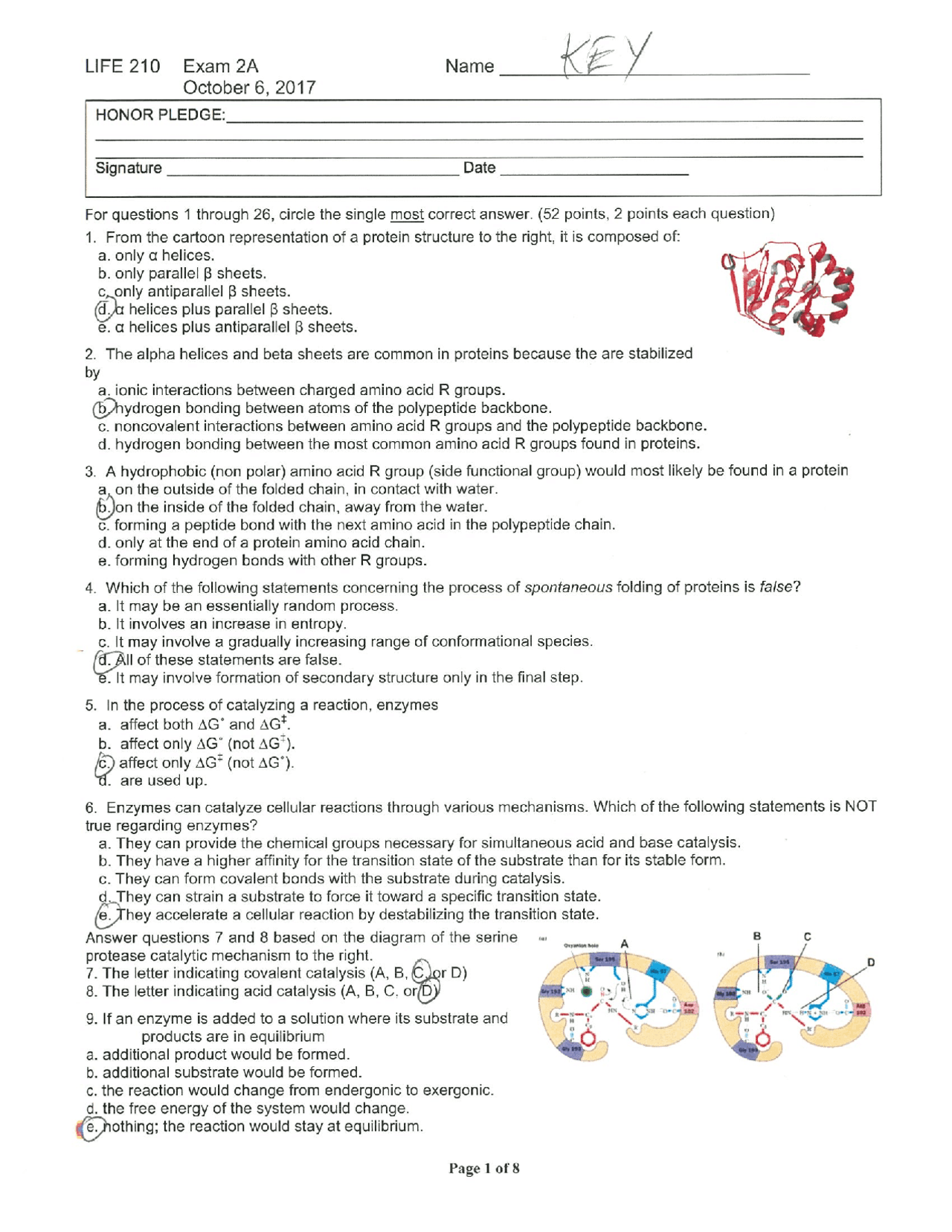 Exam 2 with Answer Key - Introductory Eukaryotic Cell Biology | LIFE ...