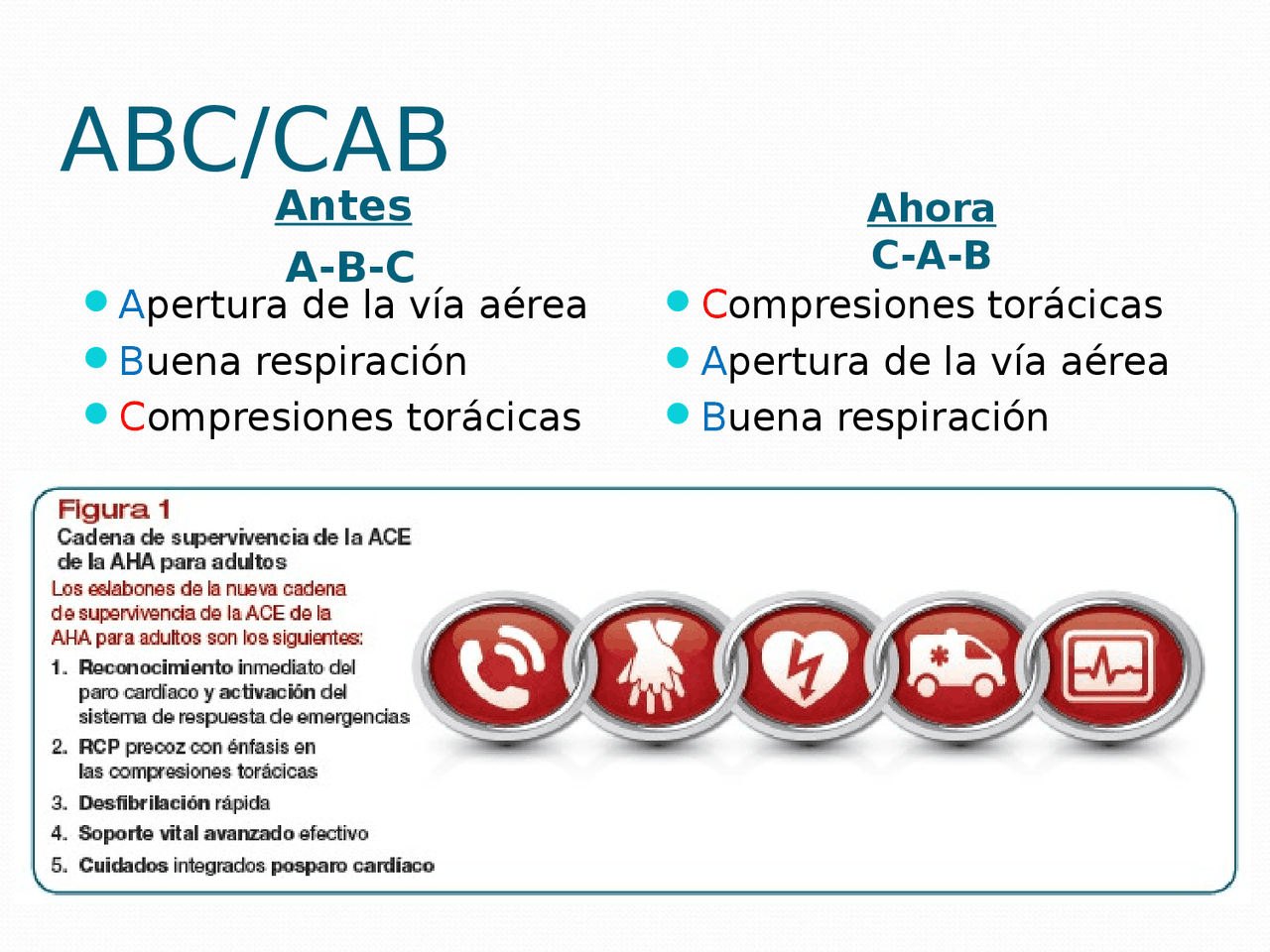 Reanimacion Primeros Auxilios Docsity reanimacion-primeros-auxilios-docsity