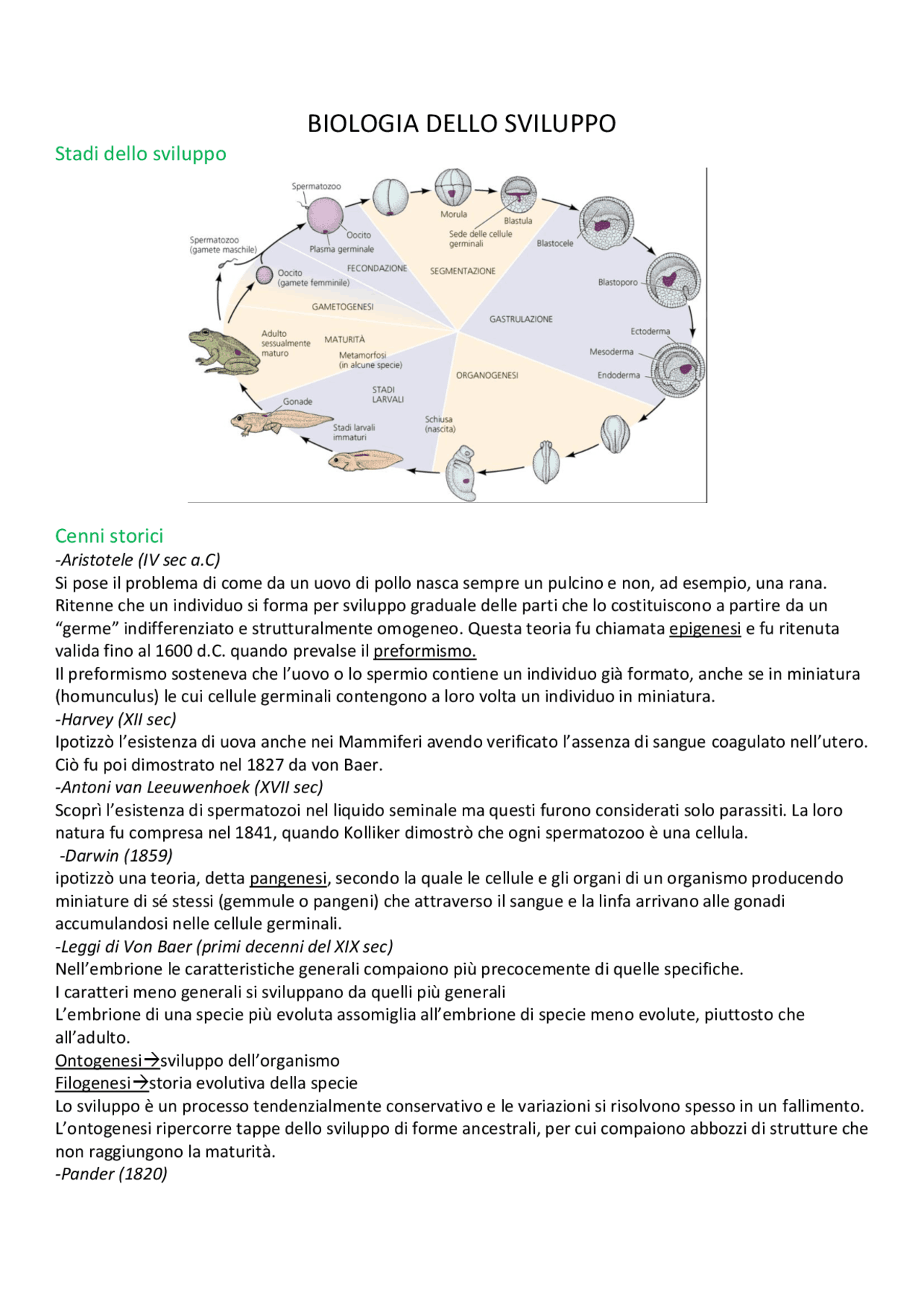 Riassunti Biologia dello sviluppo Docsity