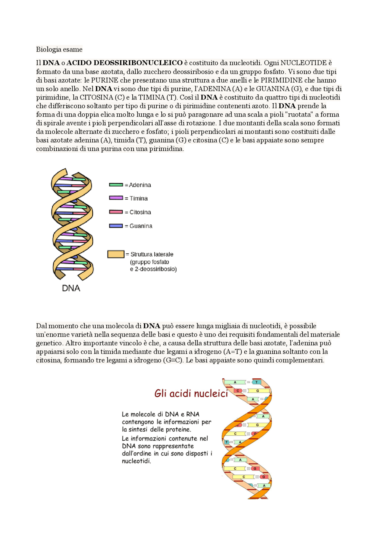 Scienze Biomolecolari Genomiche E Cellulari Dalla struttura del DNA sino alle mutazioni genetiche - Docsity