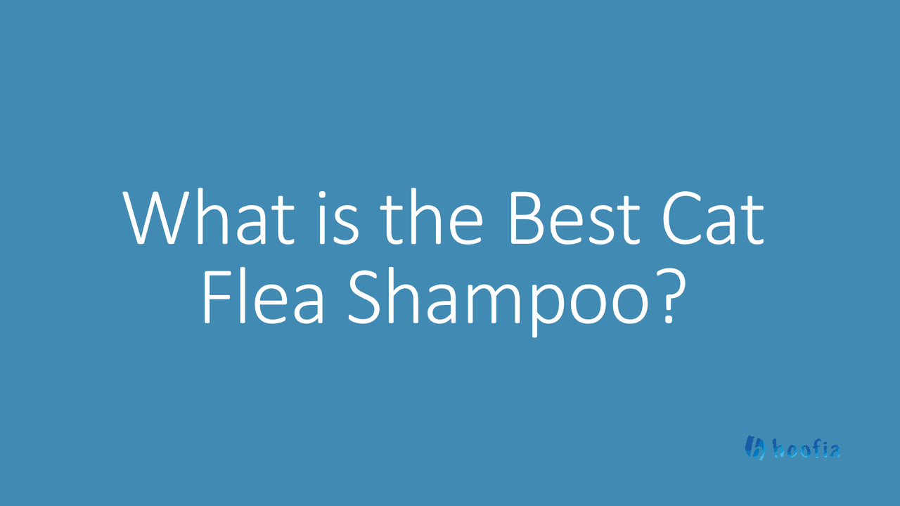 What is the Best Cat Flea Shampoo Docsity