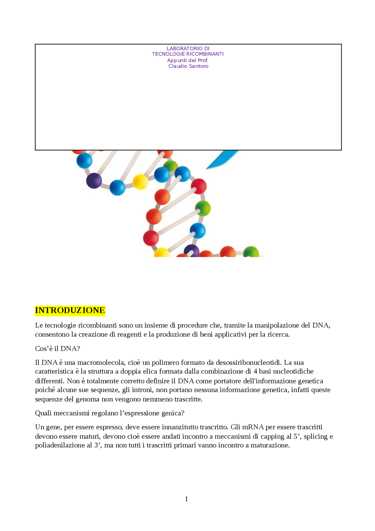mappa del DNA plasmidico