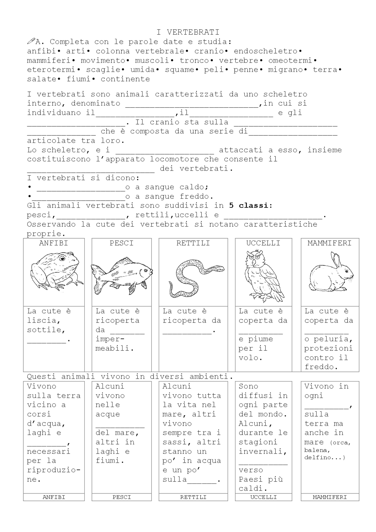 Verifica sui vertebrati - Docsity