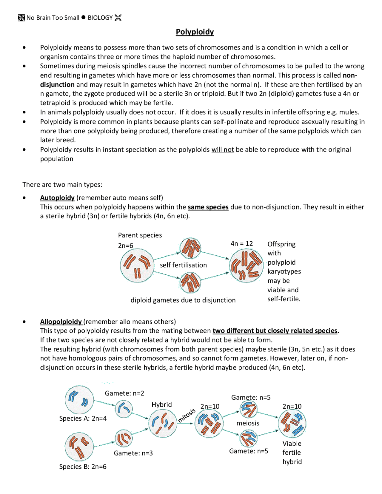 Polyploidy in Plants - Docsity