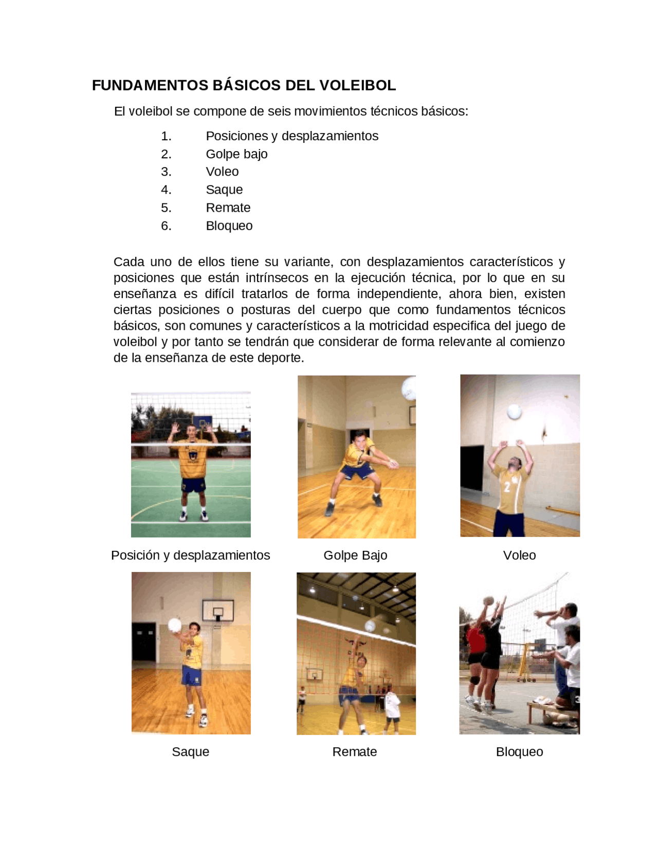 Fundamentos basicos del voleybol Apuntes de Estudios Deportivos Docsity Fundamentos basicos del voleybol Apuntes de Estudios Deportivos Docsity