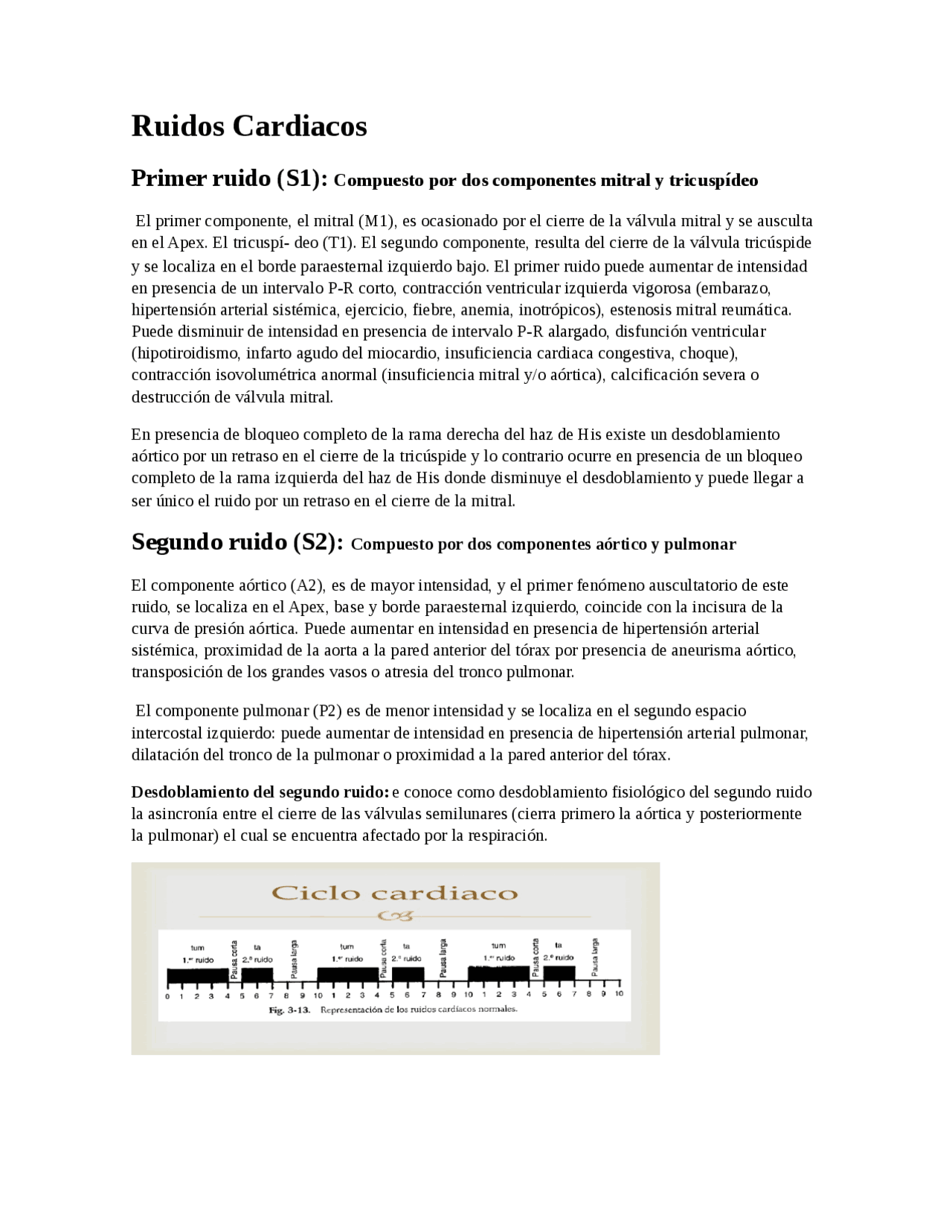 Ruidos cardiacos en - Docsity