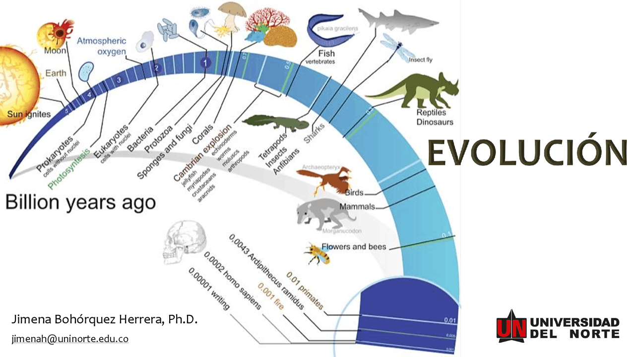 Evolución de las especies Docsity Evolución de las especies Docsity