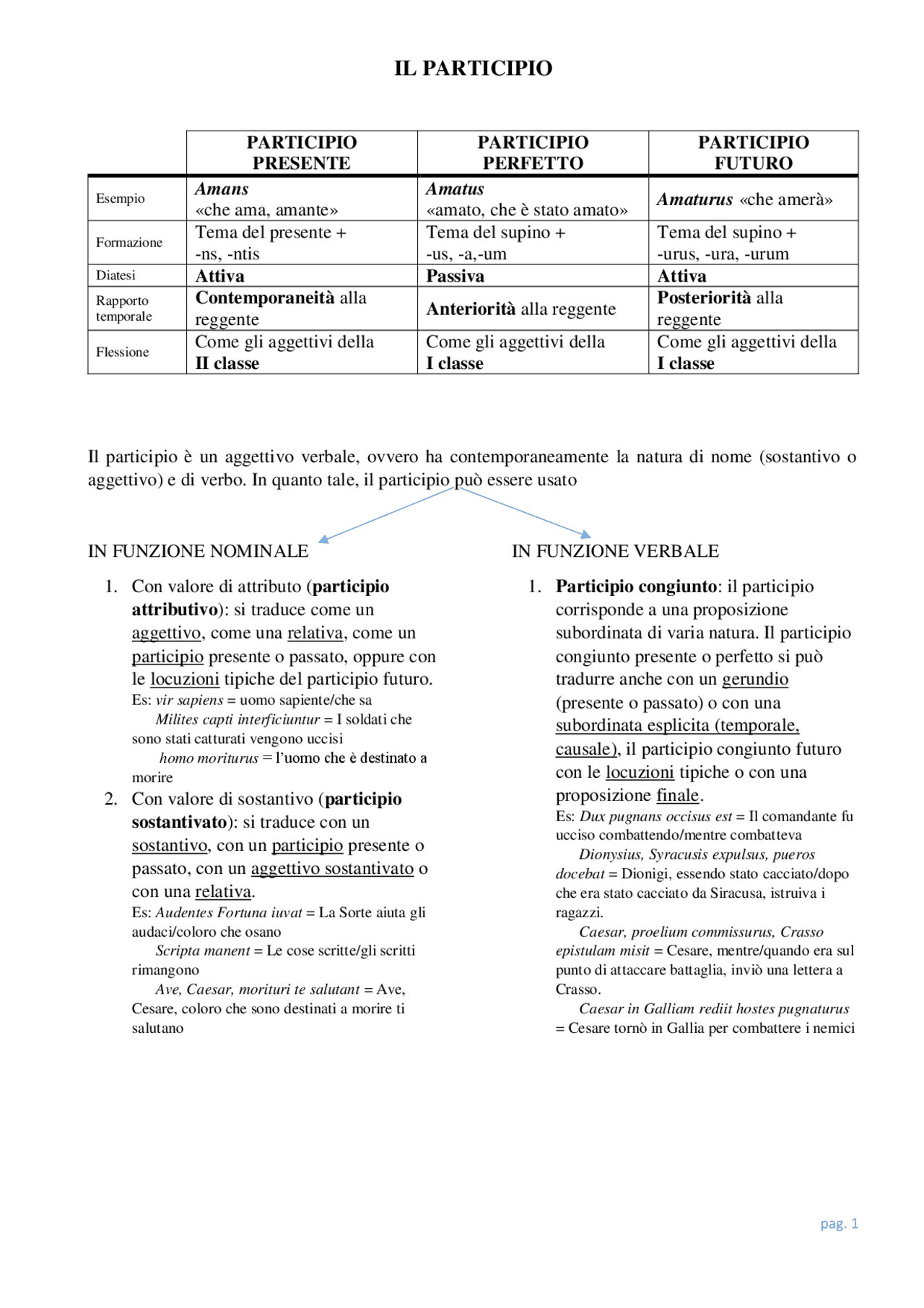 Il participio latino: tutto quello che devi sapere | Schemi e mappe ...