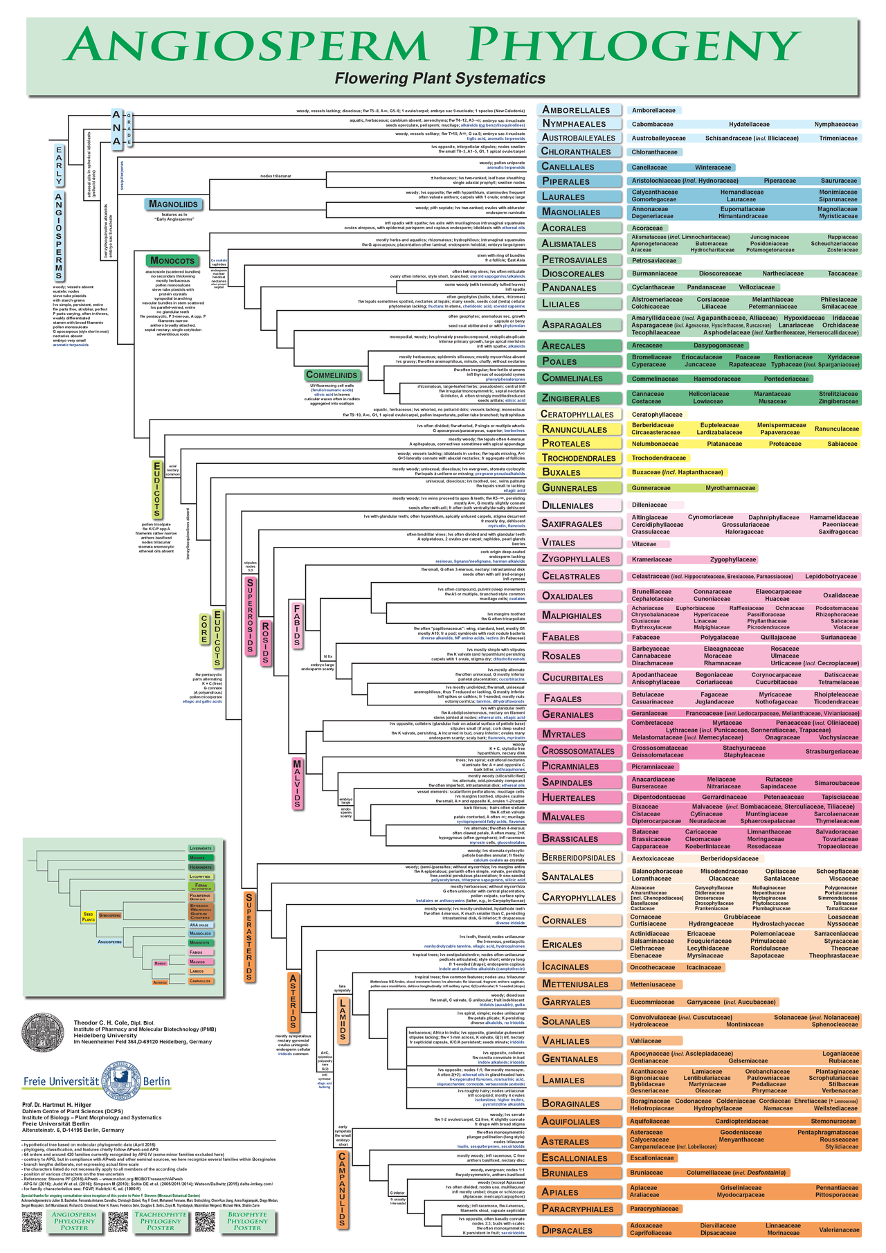 Sistema de clasificación APG III Docsity