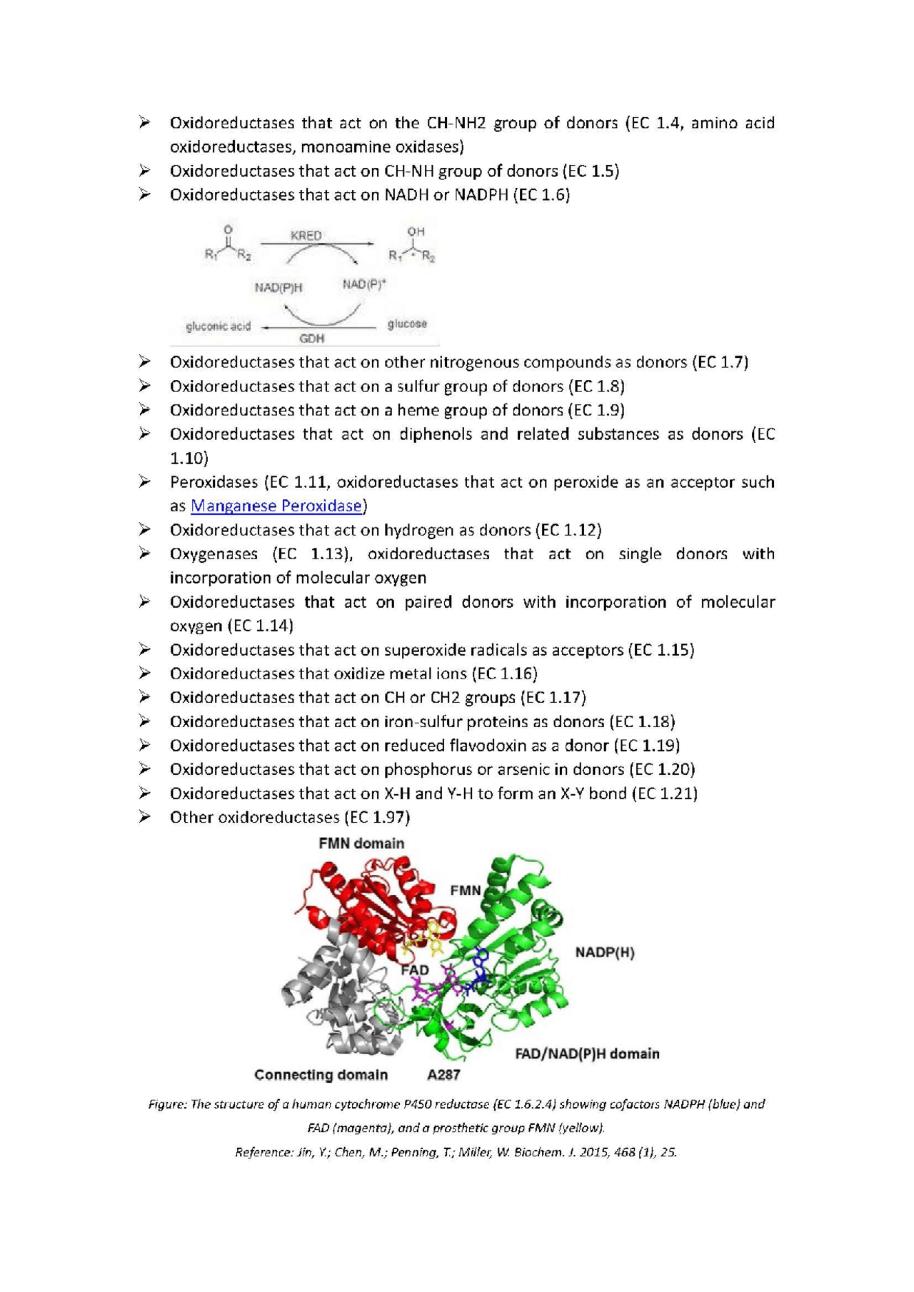 Your StepByStep Guide To Measure Enzyme Activity For Oxidoreductases
