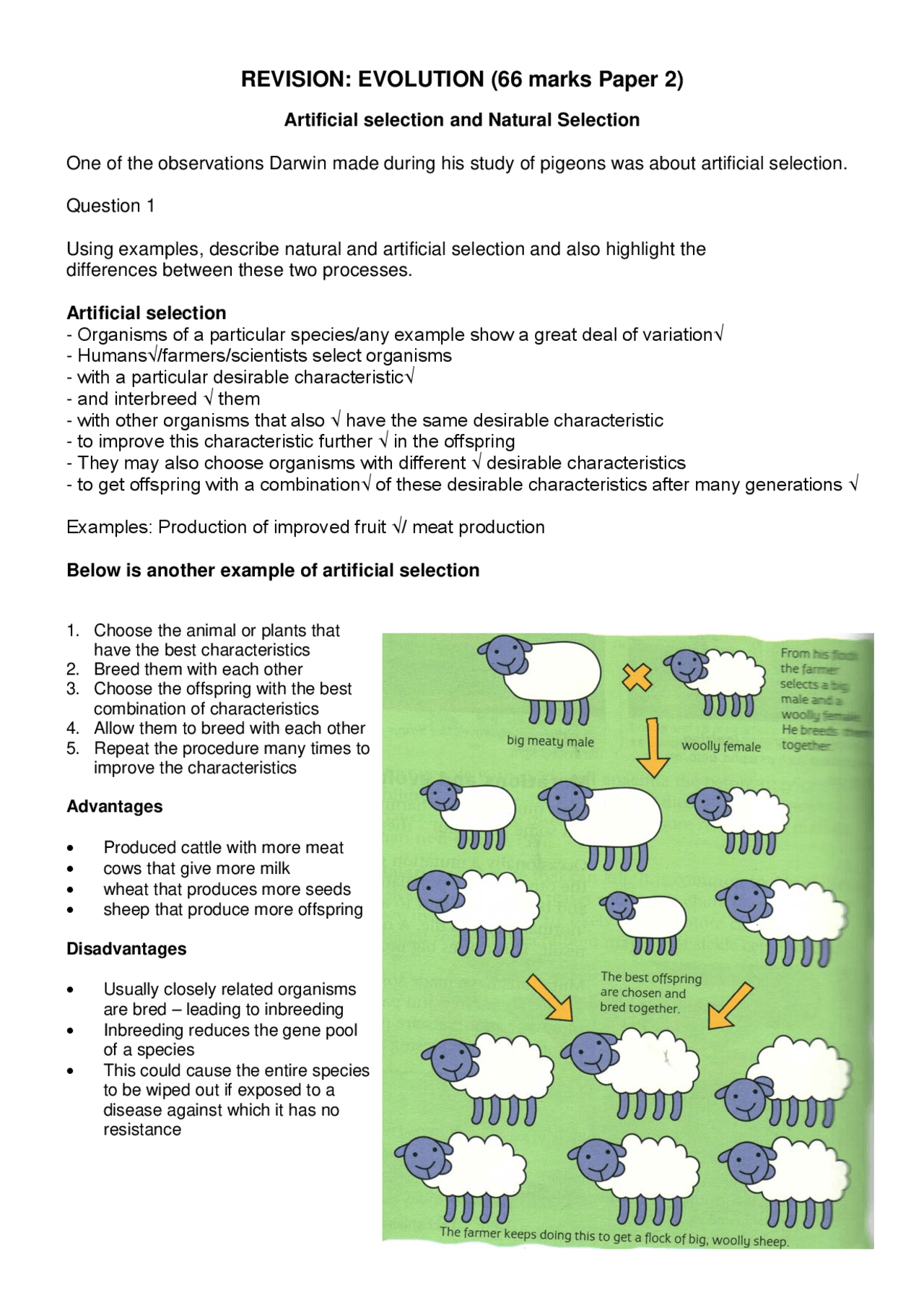 Evolution principles and questions - Docsity