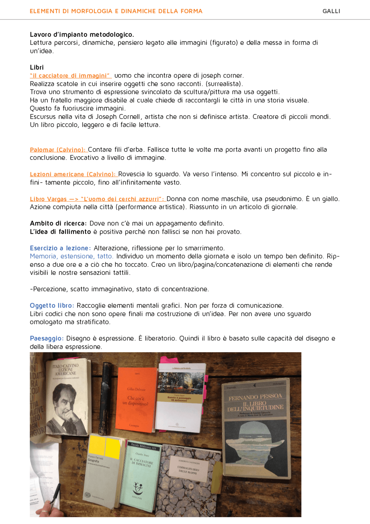 Elementi di morfologia e dinamiche della forma - Docsity