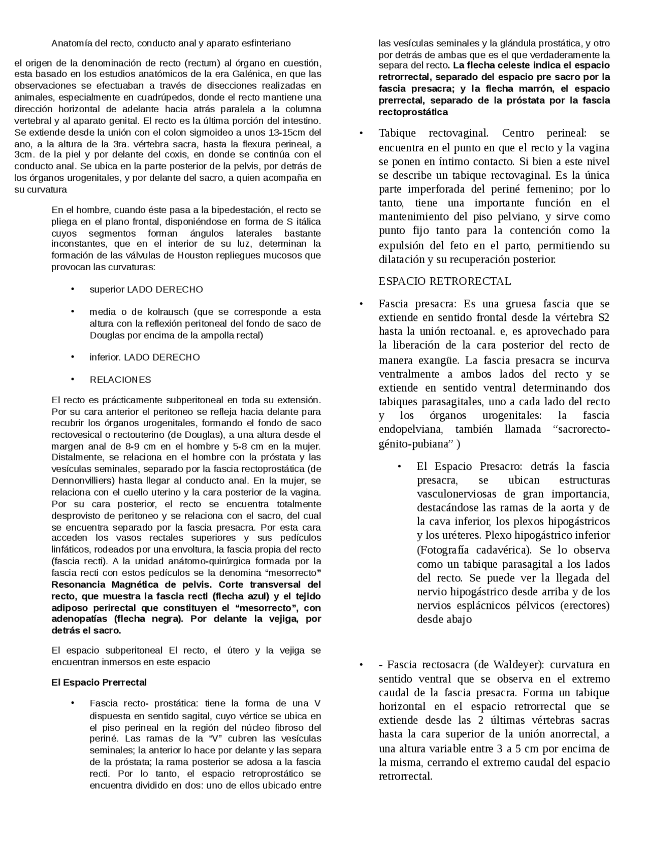 Que Significa Recto ANATOMÍA DEL RECTOUYS - Docsity