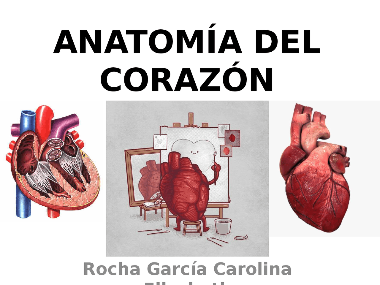 Anatomía Del Corazón Ppt
