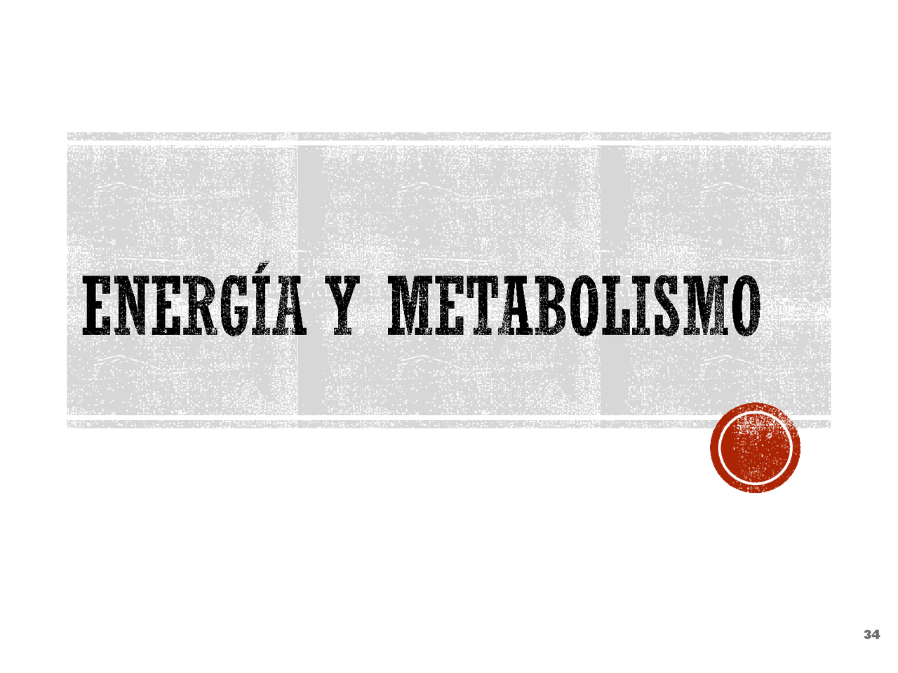 Carbohidratos Estructura Y Funcion Docsity