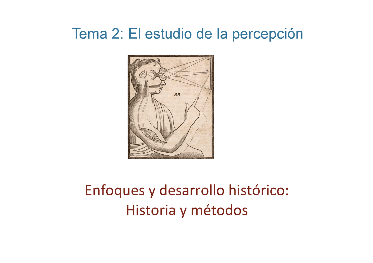 Apuntes del tema 2, percepción - Docsity