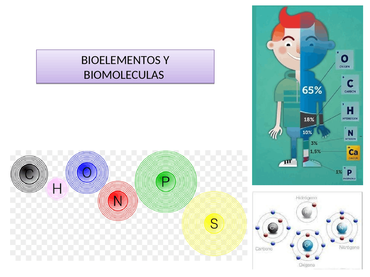 Importancia De Los Bioelementos Y Para Qué Sirven – ONQJ