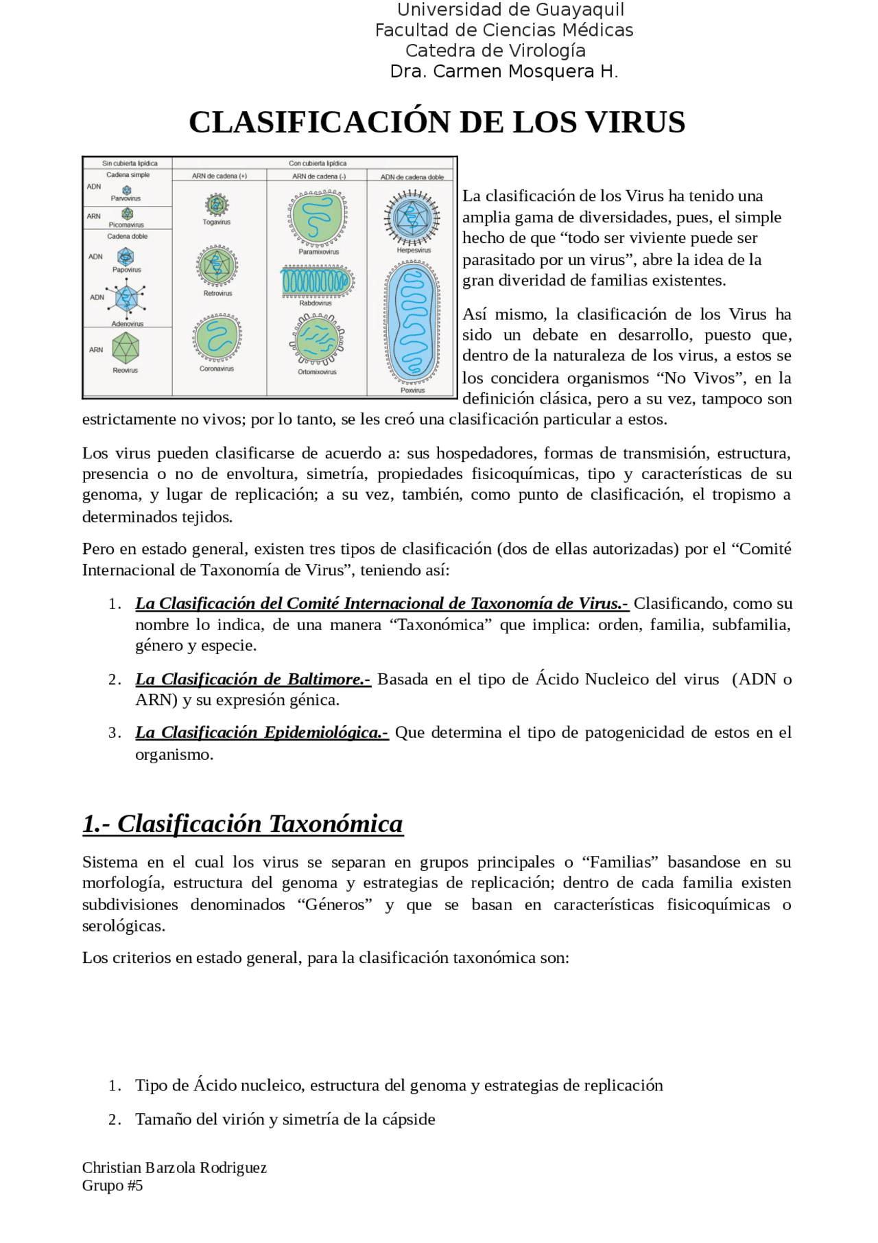 Clasificación de los Virus | Apuntes de Química | Docsity